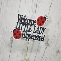 Little Lady Ladybug Cake Topper
