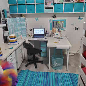 Nepheryn Party Craft Room Tour
