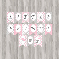 Little Peanut Baby Shower Banner - Pink
