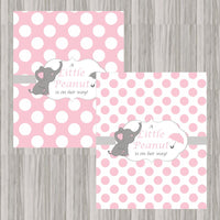 Little Peanut Baby Shower Decoration Pack - Pink