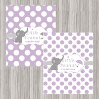 Little Peanut Baby Shower Decoration Pack - Lavender
