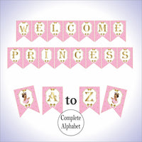 Pink and Gold Little Princess Party Banner, Brown
