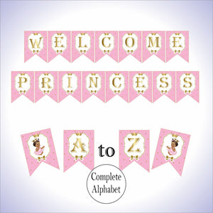 Pink and Gold Little Princess Party Banner, Brown