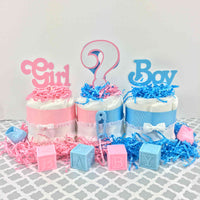 Girl or Boy Gender Reveal Mini Diaper Cakes
