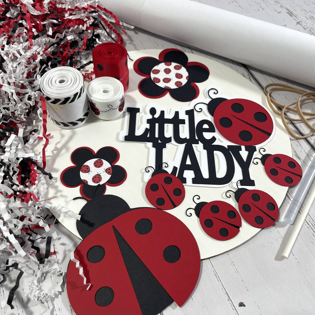Little Ladybug DIY Girl Diaper Cake Kit
