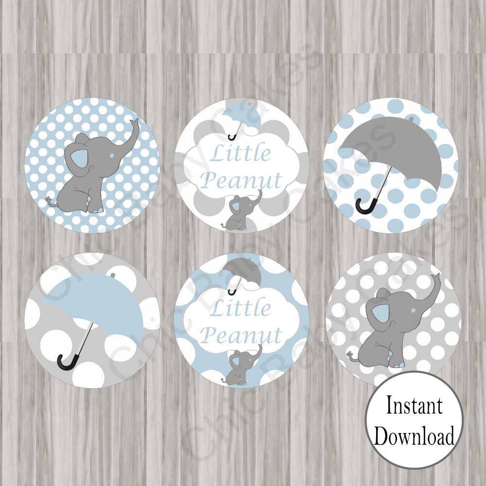 Blue & Gray Little Peanut Cupcake Toppers