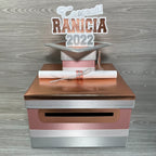 Graduation Card Box, Rose Gold, Silver, White 10x10